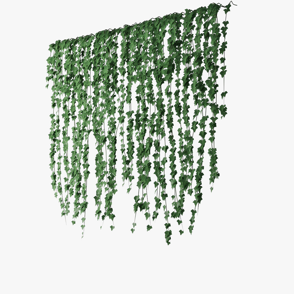 Ivy wall 04 3D model_2