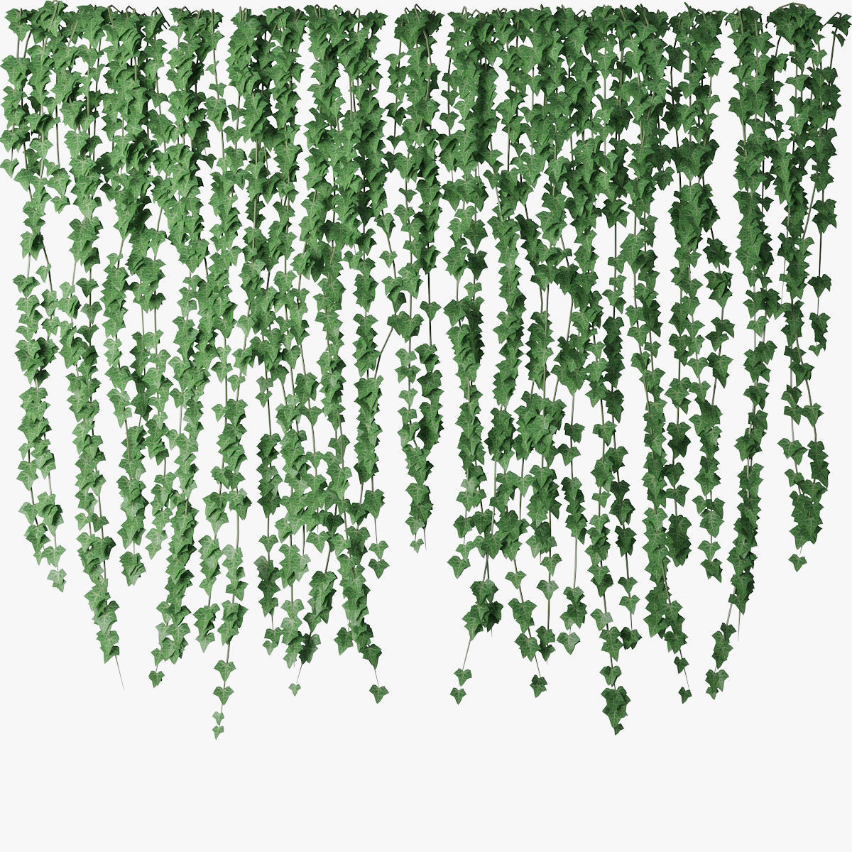 Ivy wall 04 3D model_0