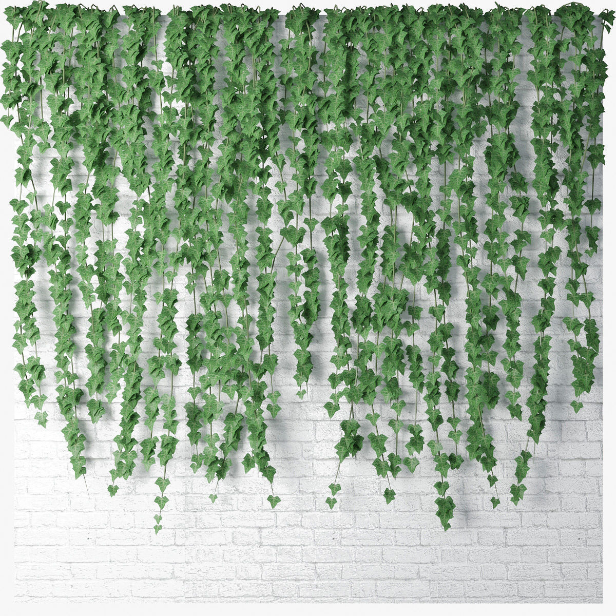 Ivy wall 04 3D model_1