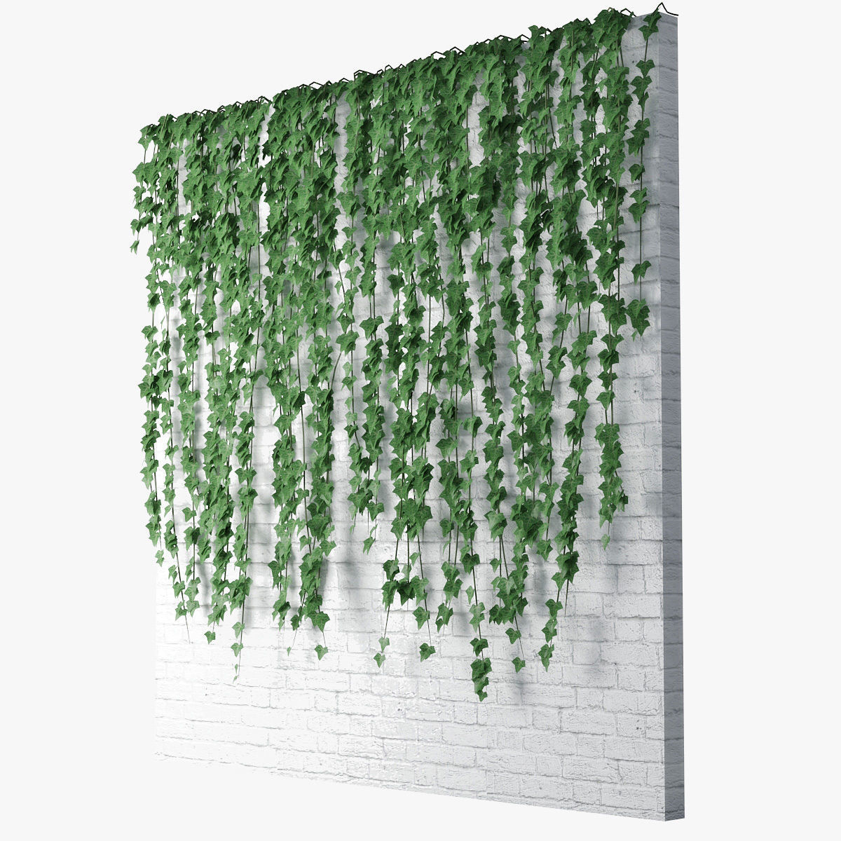Ivy wall 04 3D model_3