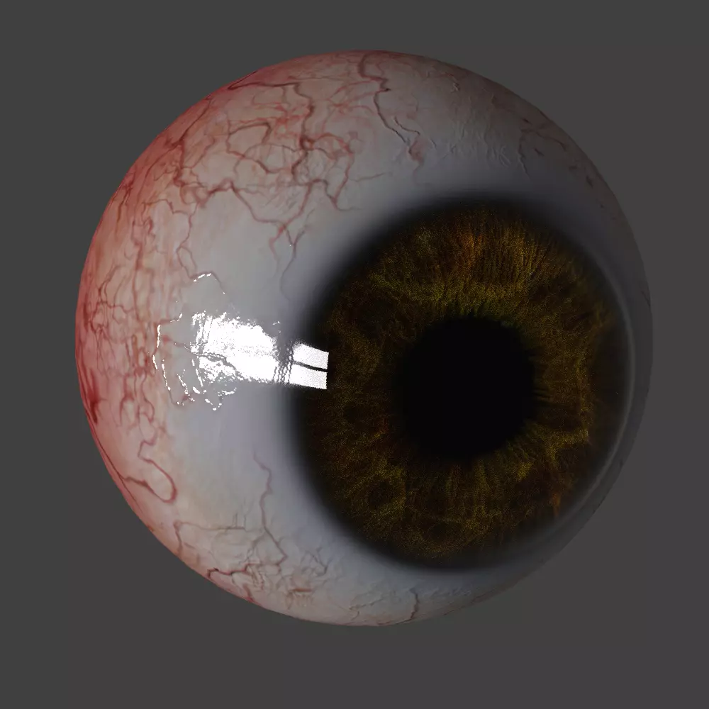 Eyeball human eye 3D model