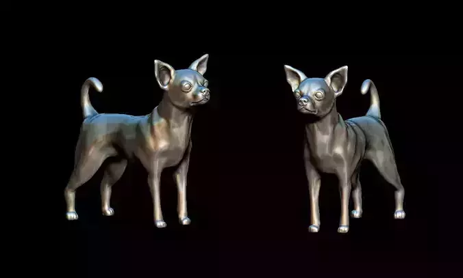 Chihuahua dog high poly