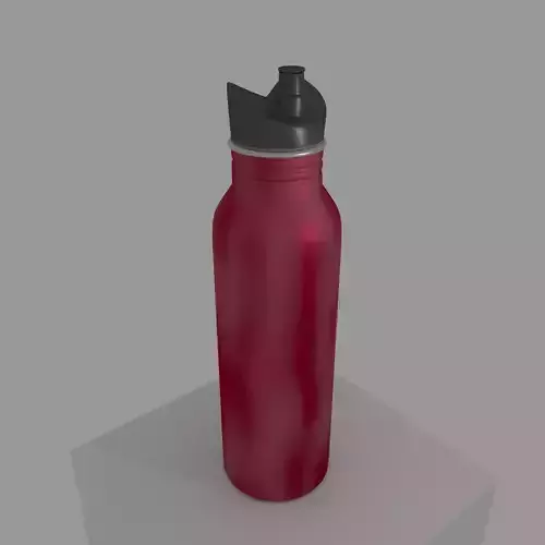 Sports bottle
