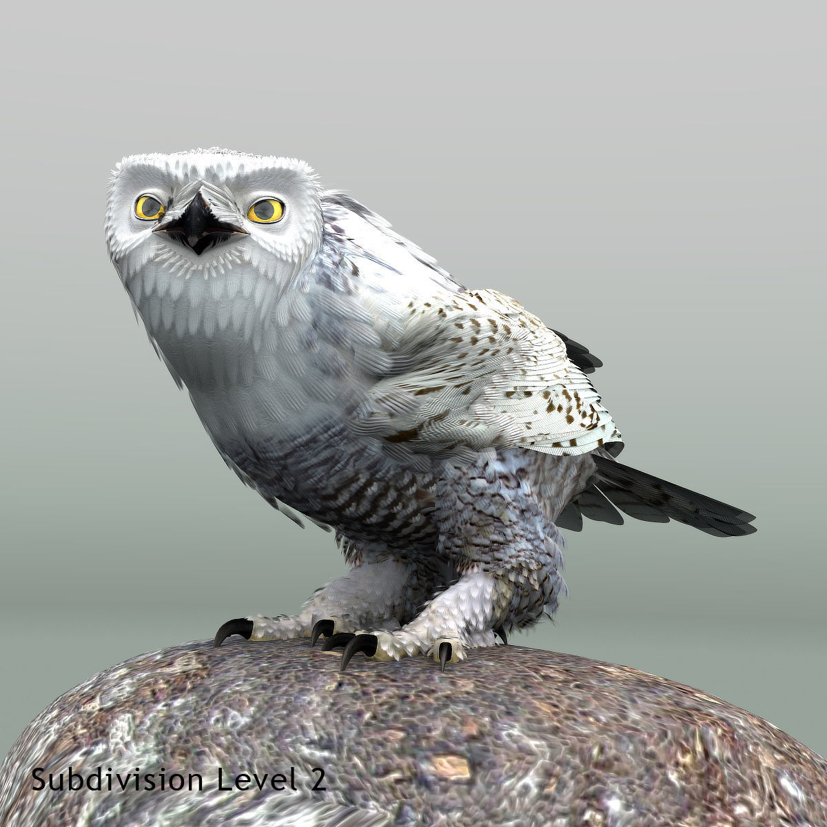 Snowy Owl - rigged - animated 3D model_27