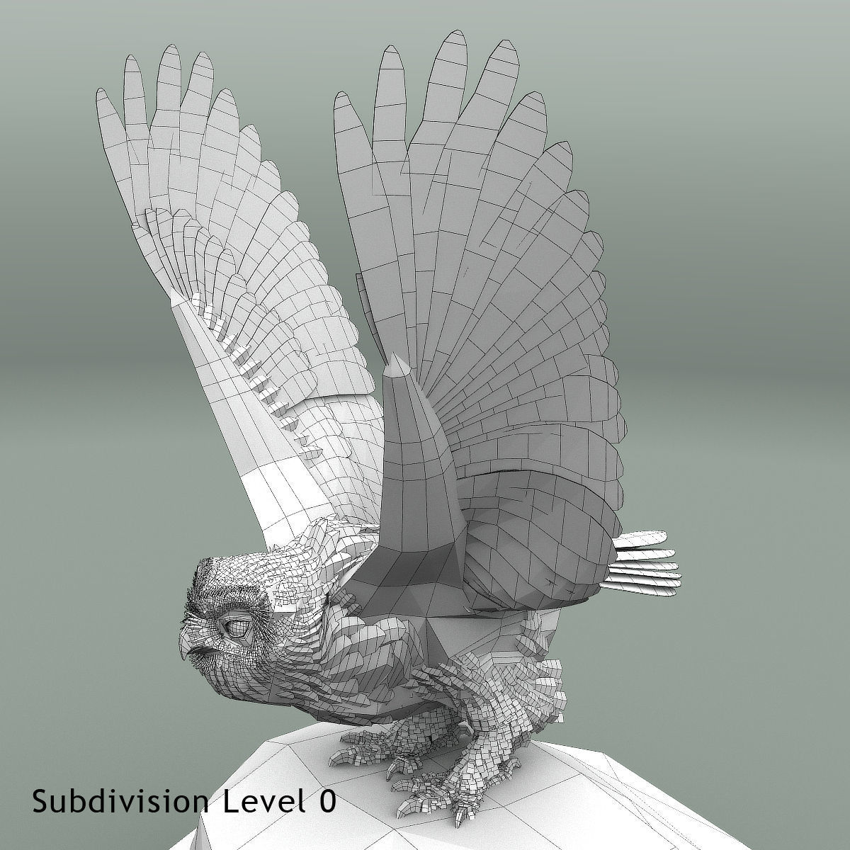 Snowy Owl - rigged - animated 3D model_32