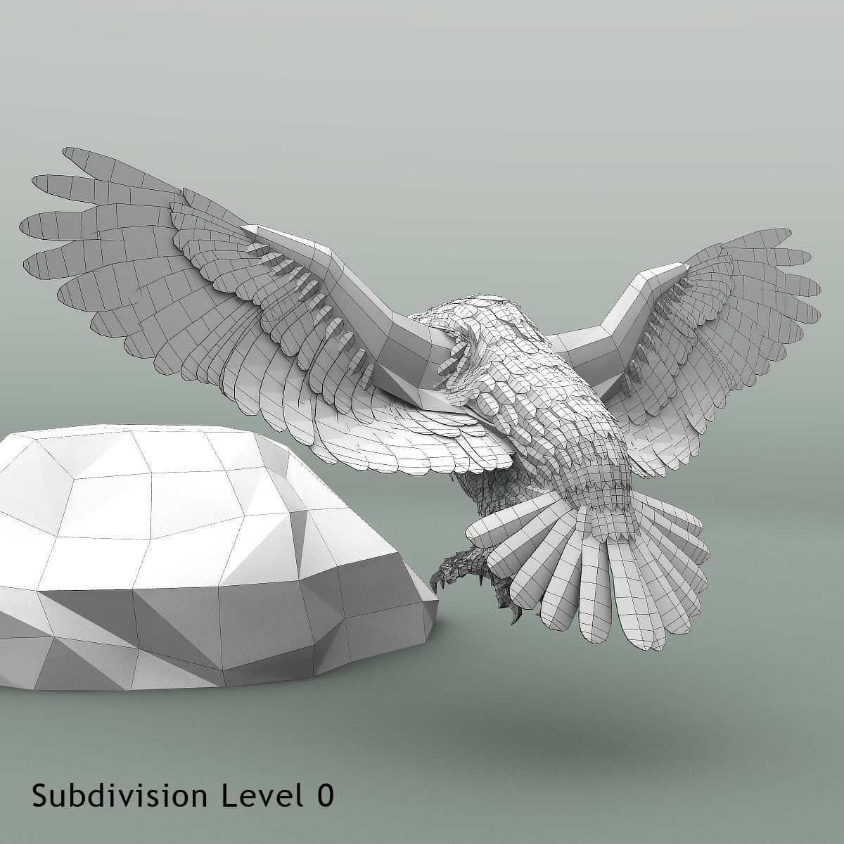 Snowy Owl - rigged - animated 3D model_26
