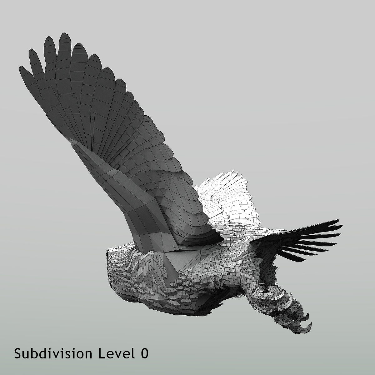 Snowy Owl - rigged - animated 3D model_35