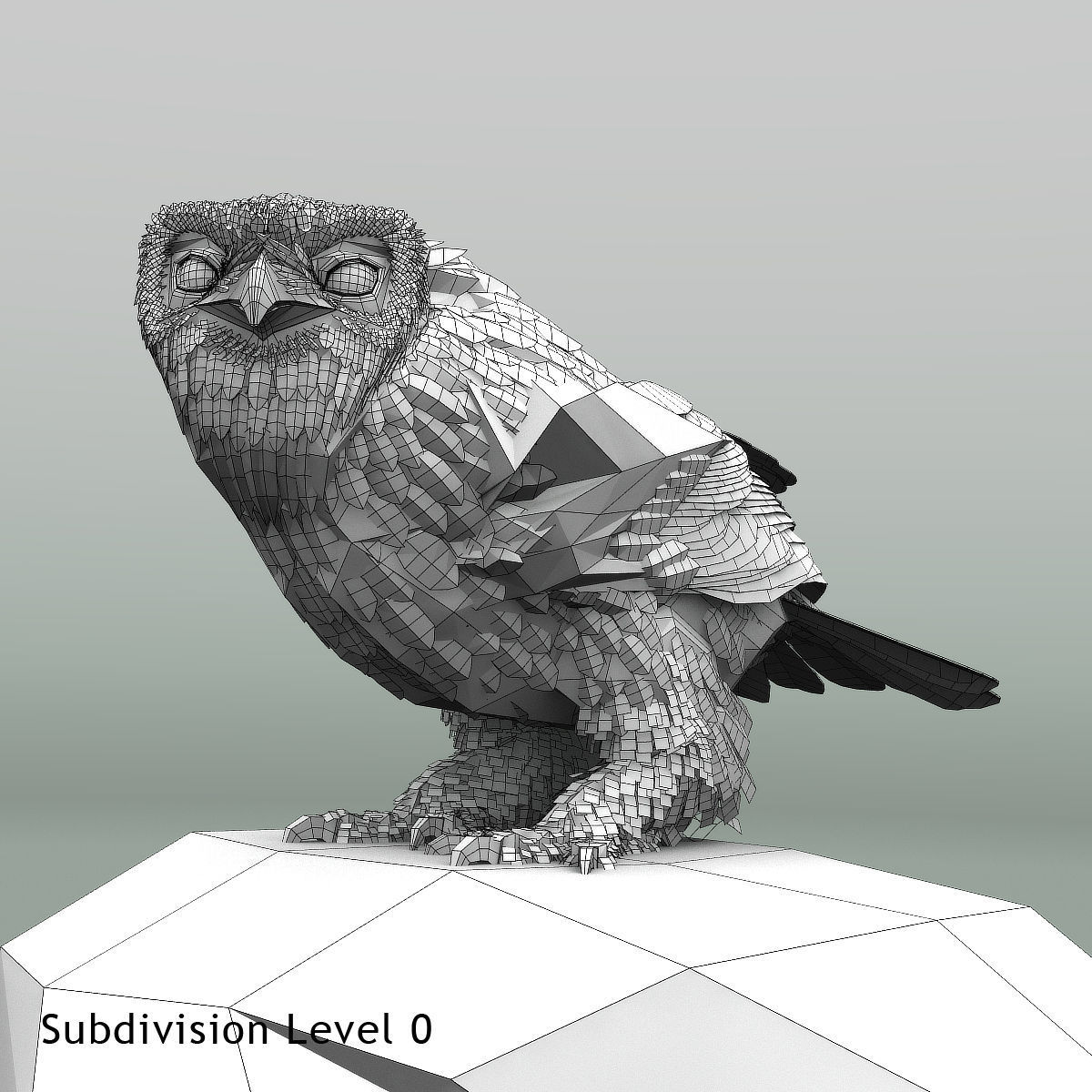 Snowy Owl - rigged - animated 3D model_29