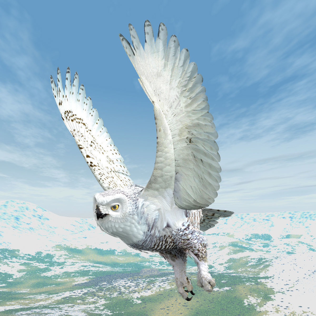 Snowy Owl - rigged - animated 3D model_4