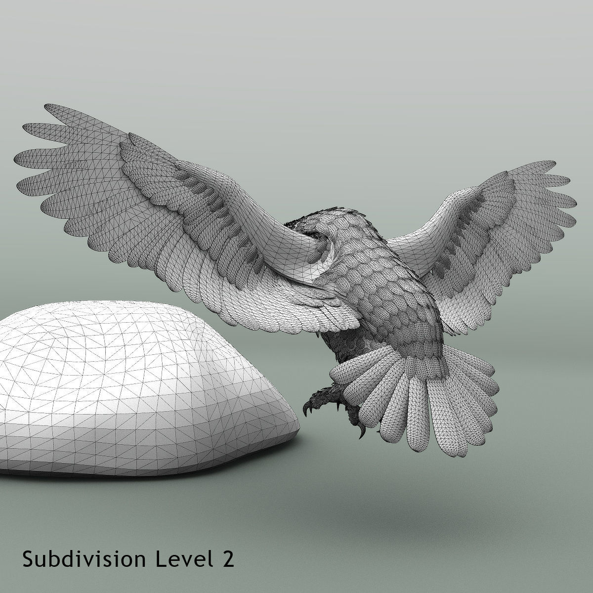 Snowy Owl - rigged - animated 3D model_25