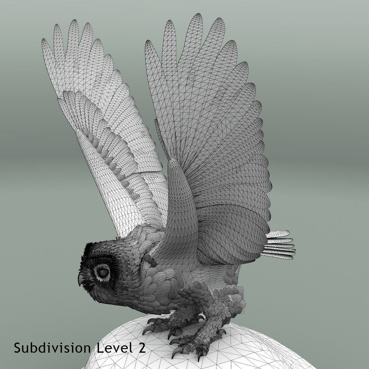 Snowy Owl - rigged - animated 3D model_31