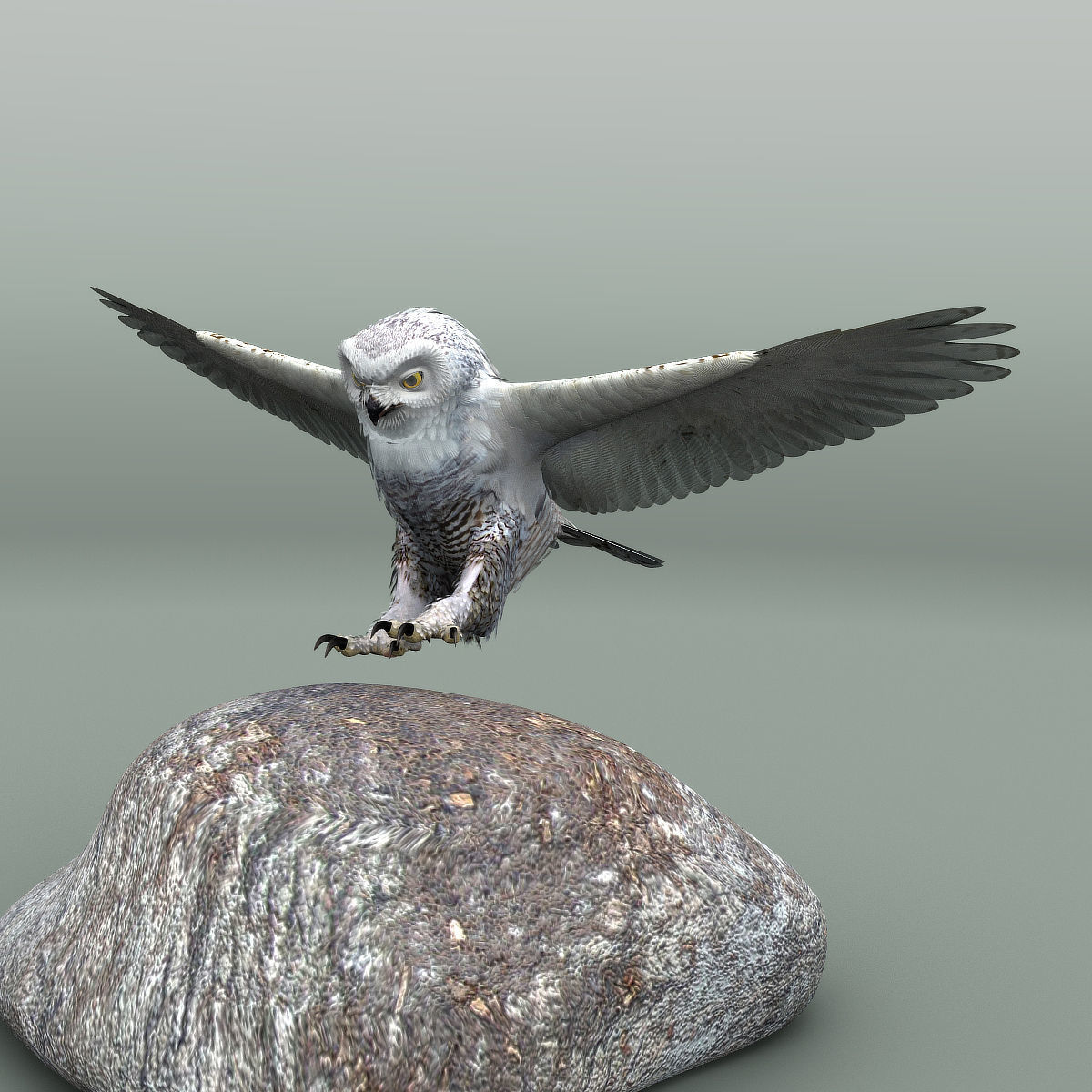 Snowy Owl - rigged - animated 3D model_16