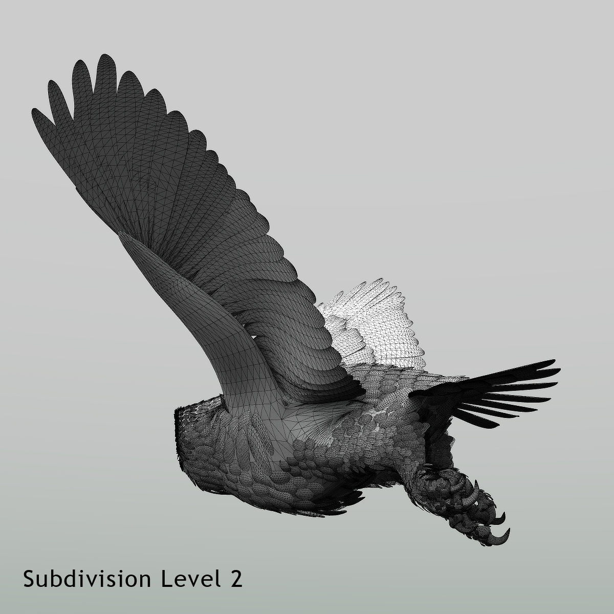 Snowy Owl - rigged - animated 3D model_34