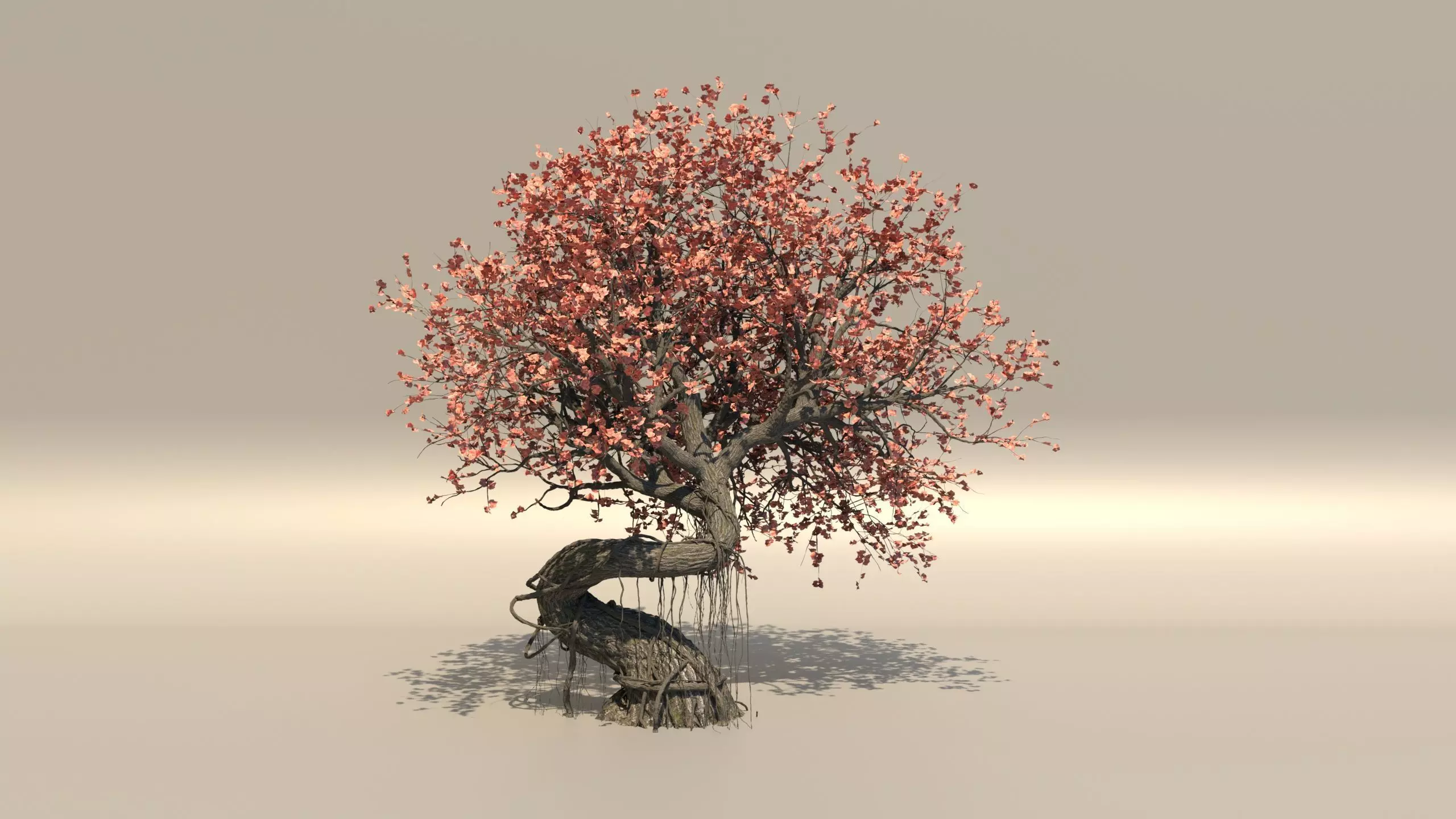 style growth animation Tree 3D model_0