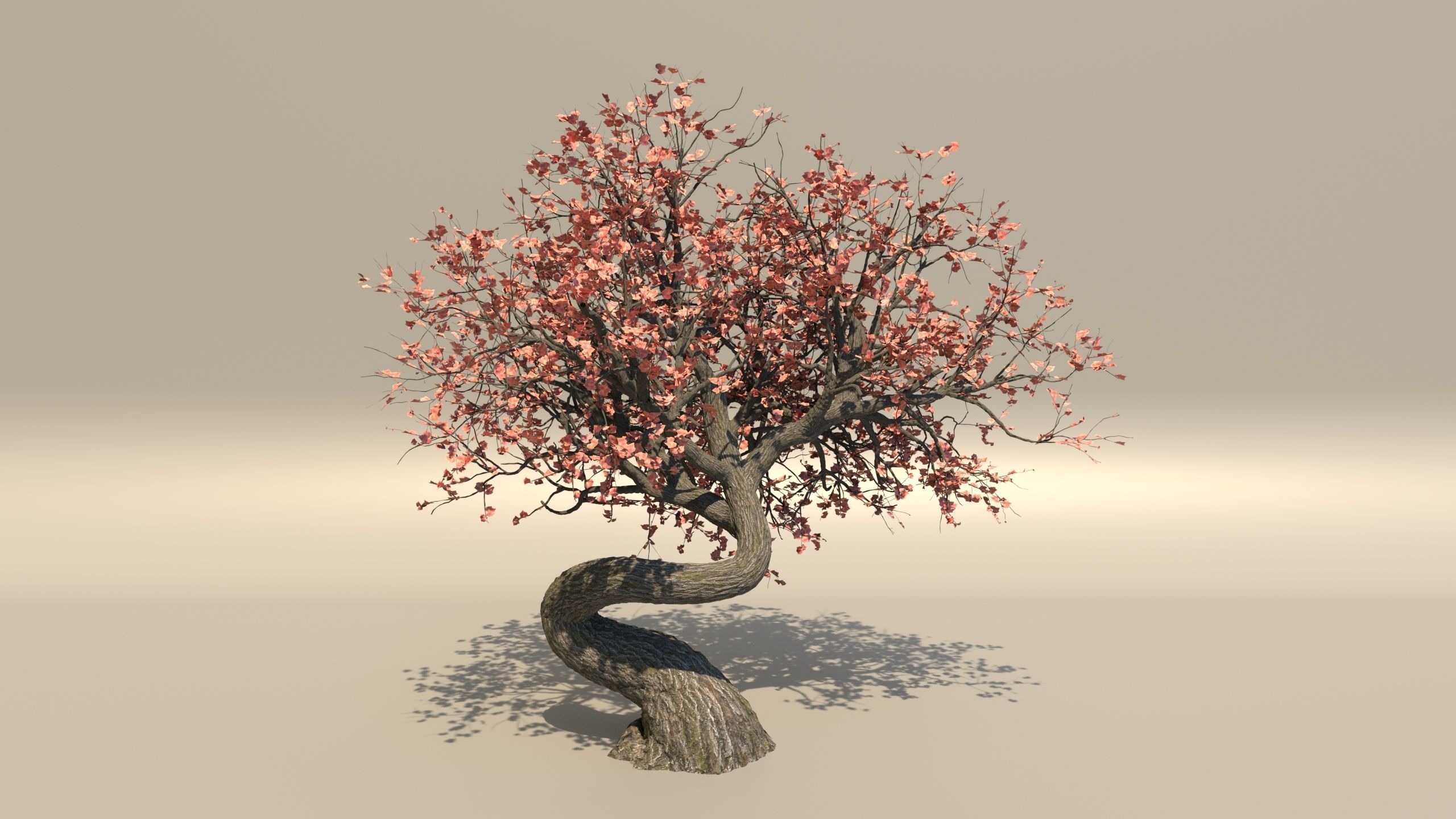 style growth animation Tree 3D model_5