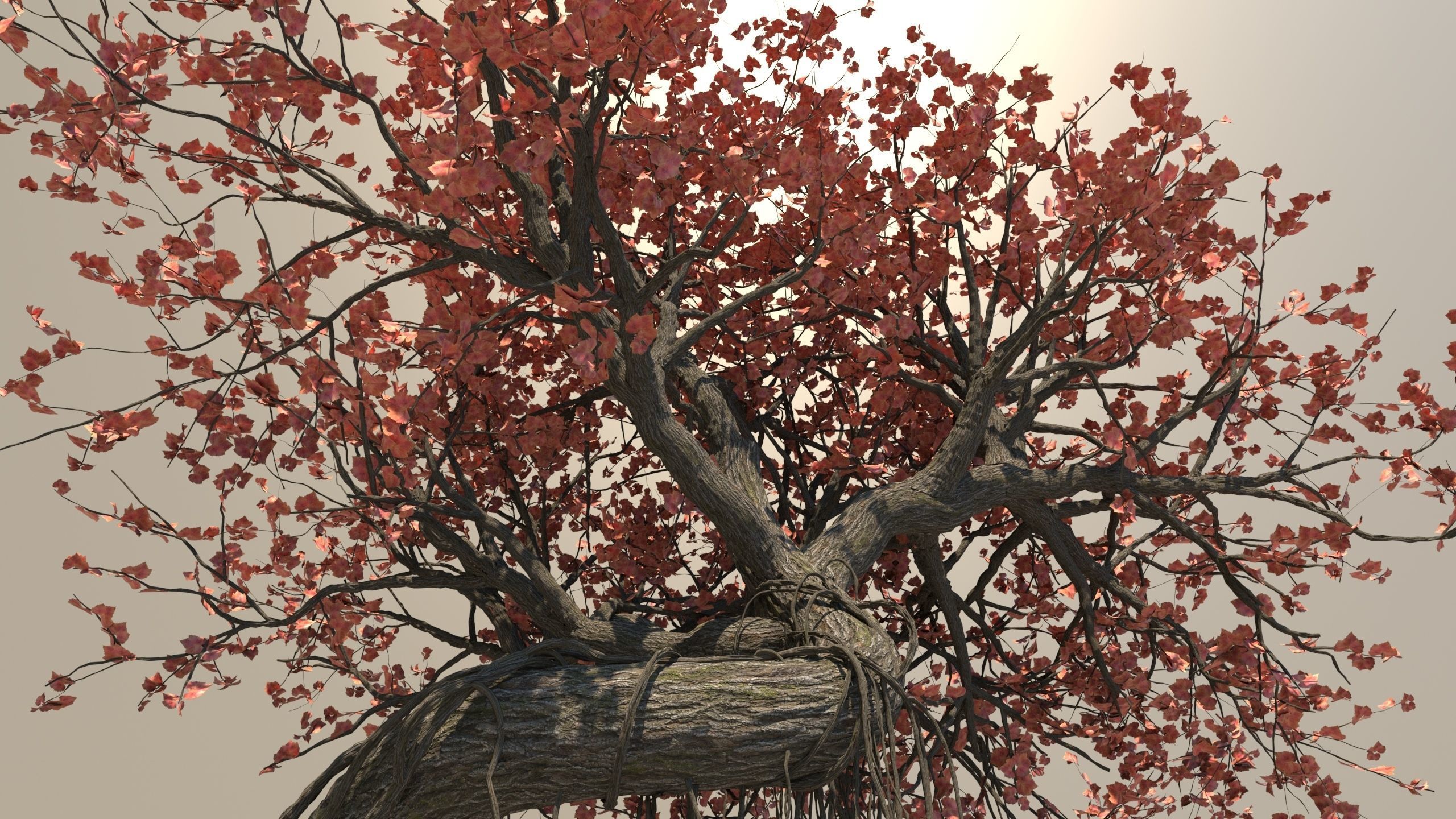 style growth animation Tree 3D model_6