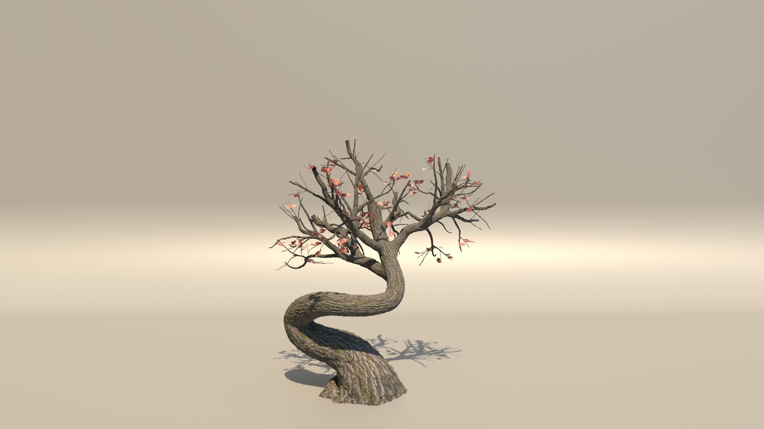 style growth animation Tree 3D model_4