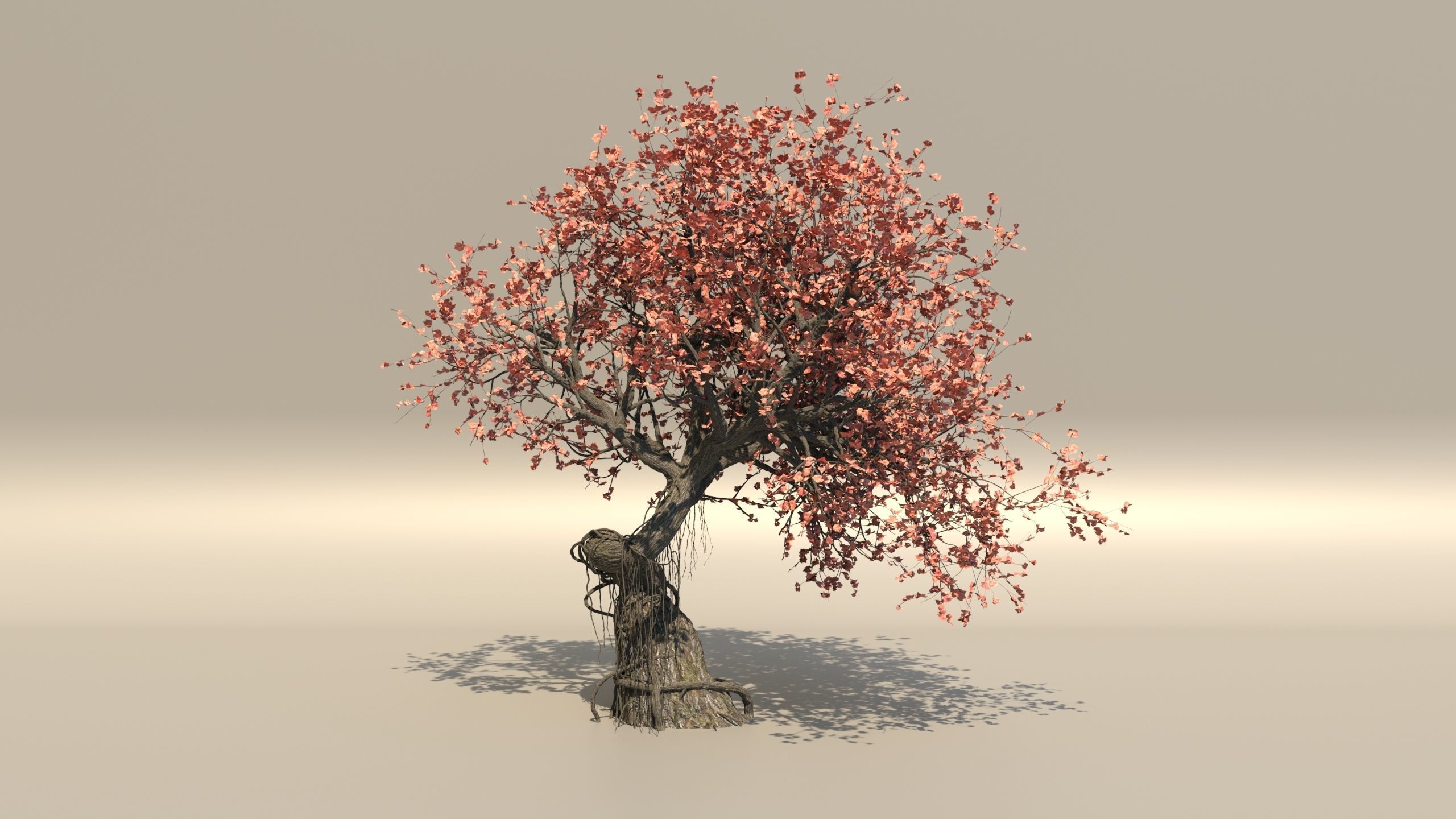 style growth animation Tree 3D model_1