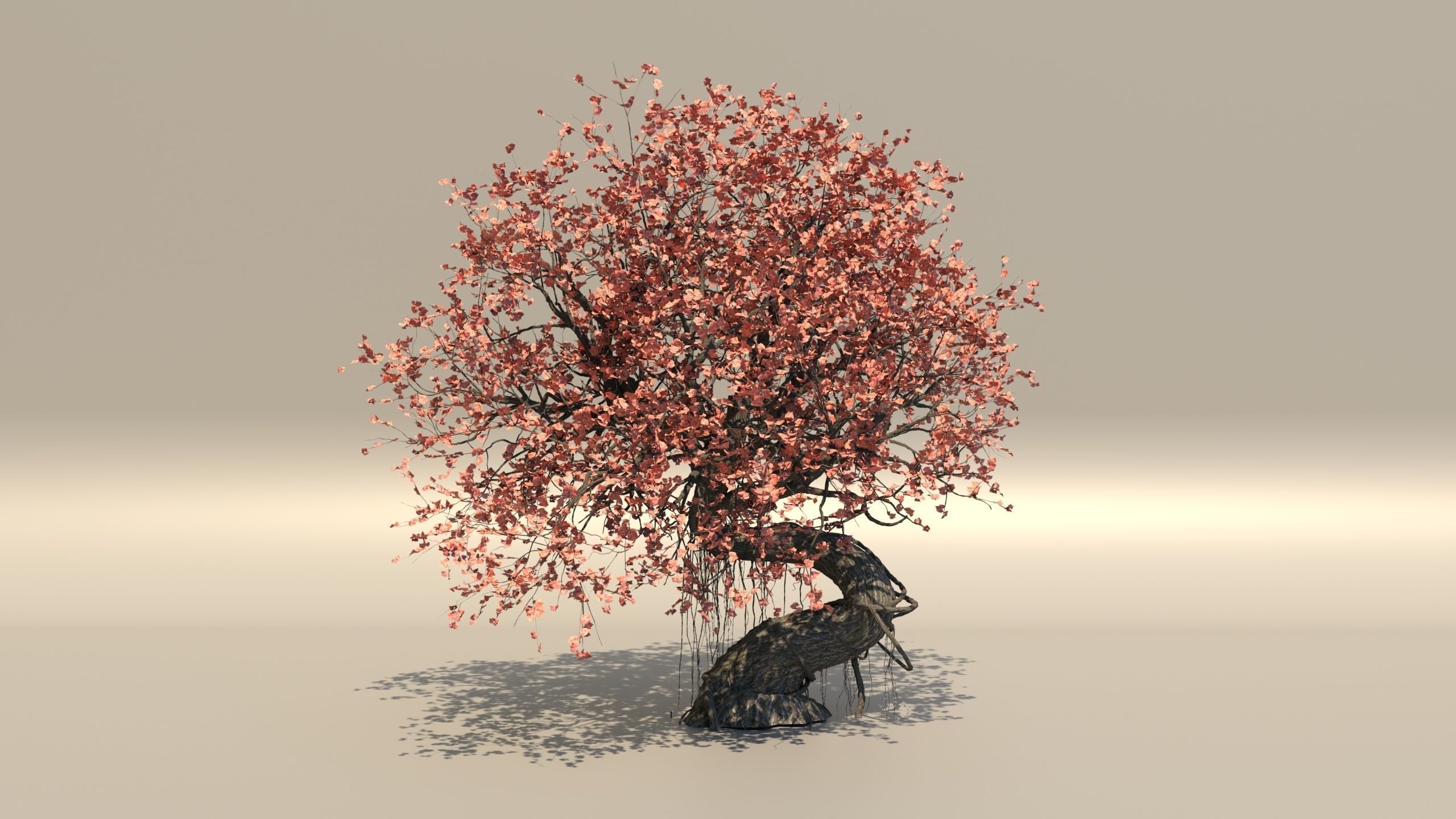 style growth animation Tree 3D model_2