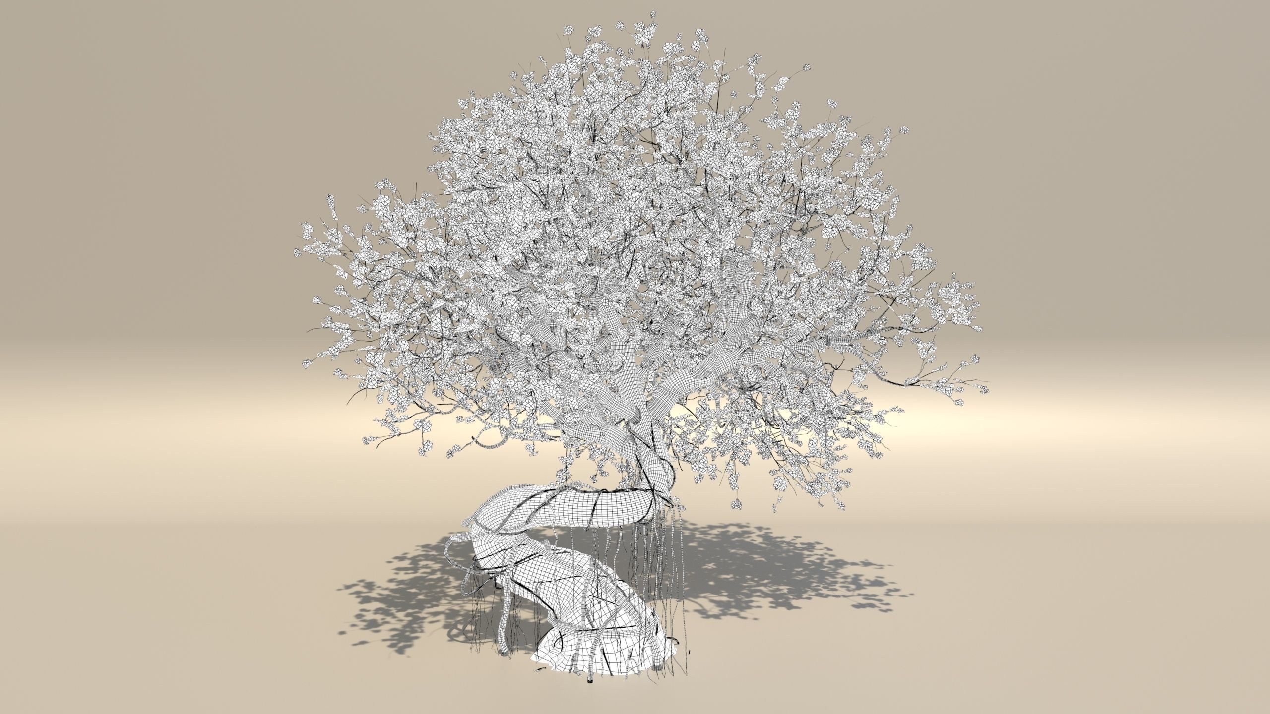 style growth animation Tree 3D model_7