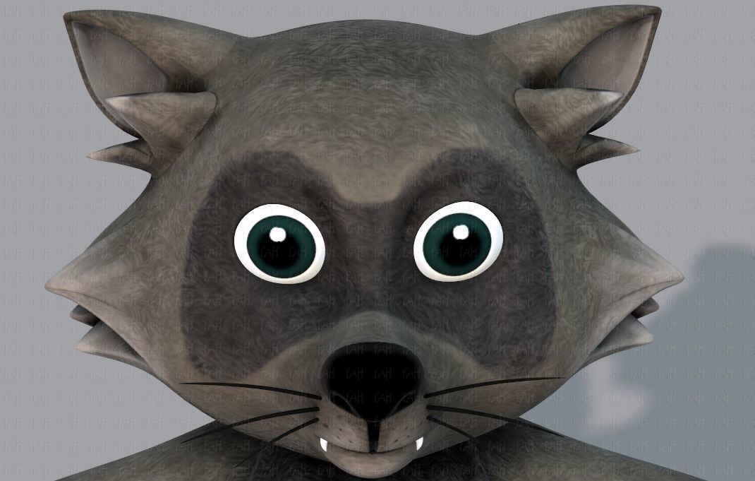 Raccoon V01 Low-poly 3D model_41