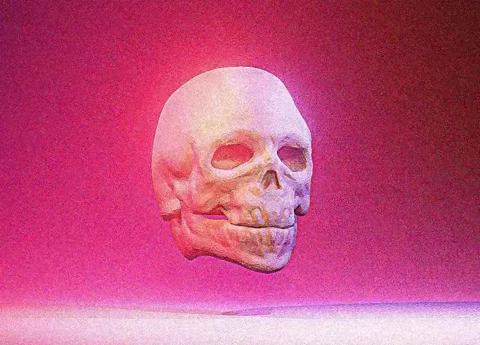 skull with light shining