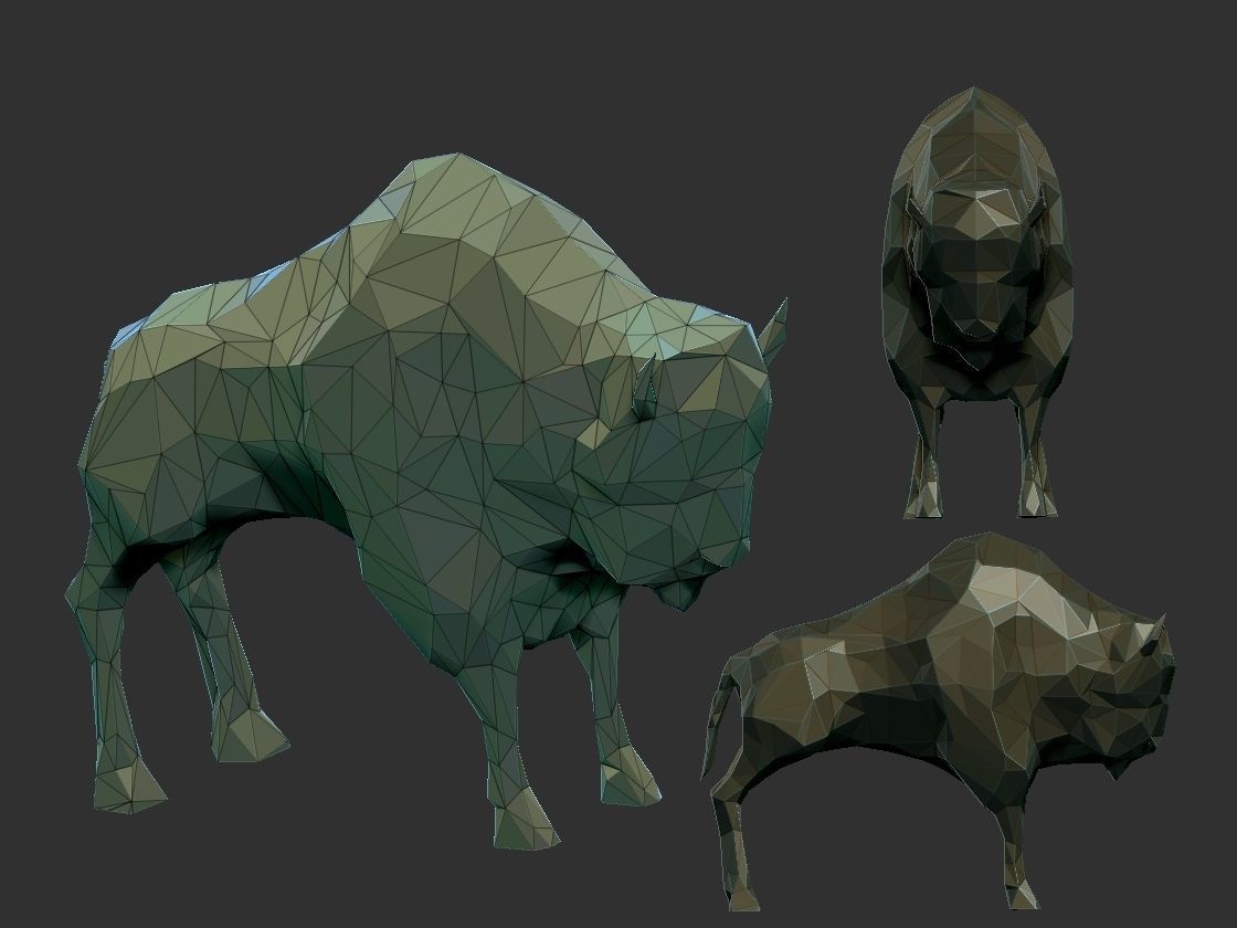 bizon3d models low high 3D print model_3