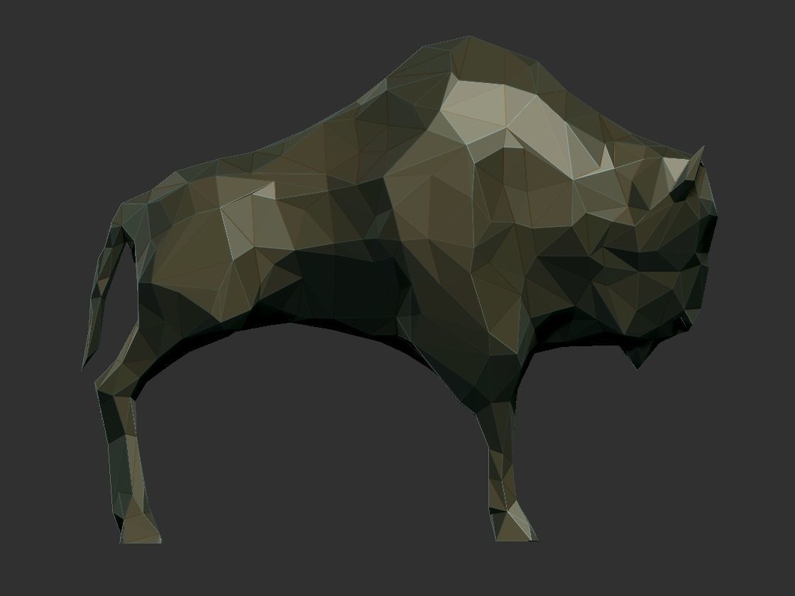 bizon3d models low high 3D print model_2