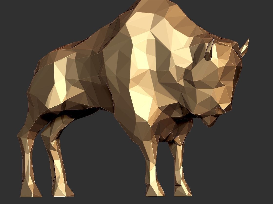 bizon3d models low high 3D print model_4