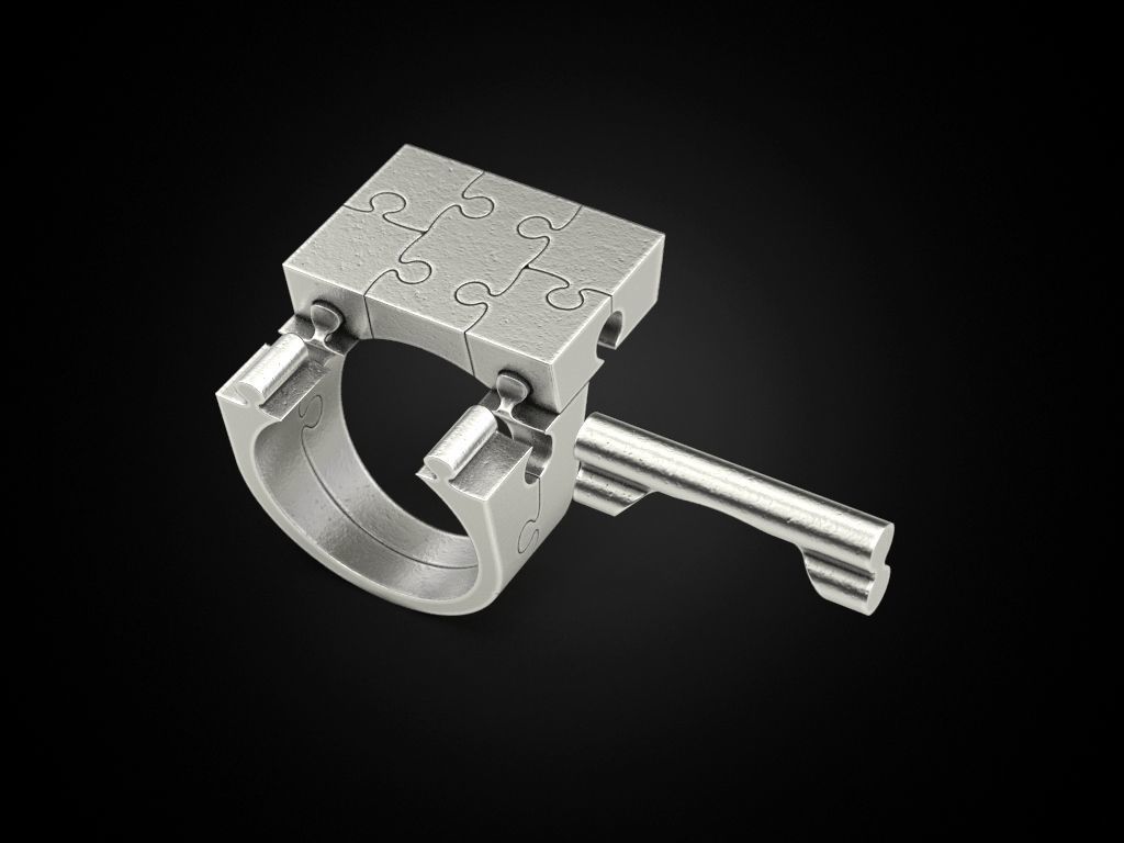 Ring puzzle 3D print model_5