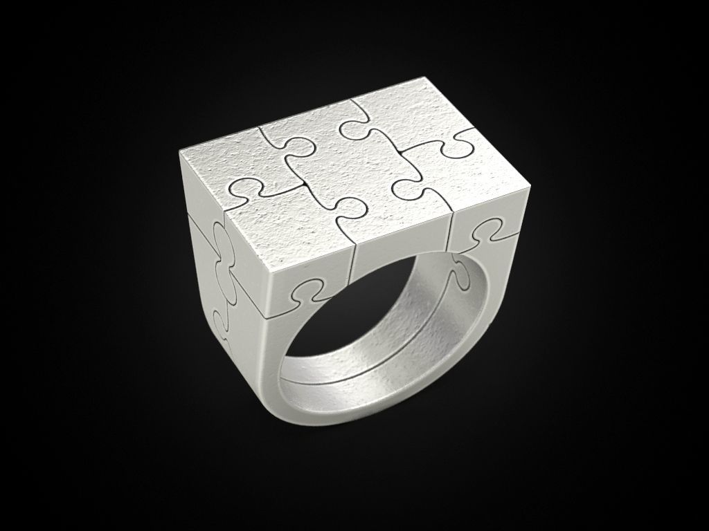 Ring puzzle 3D print model_1
