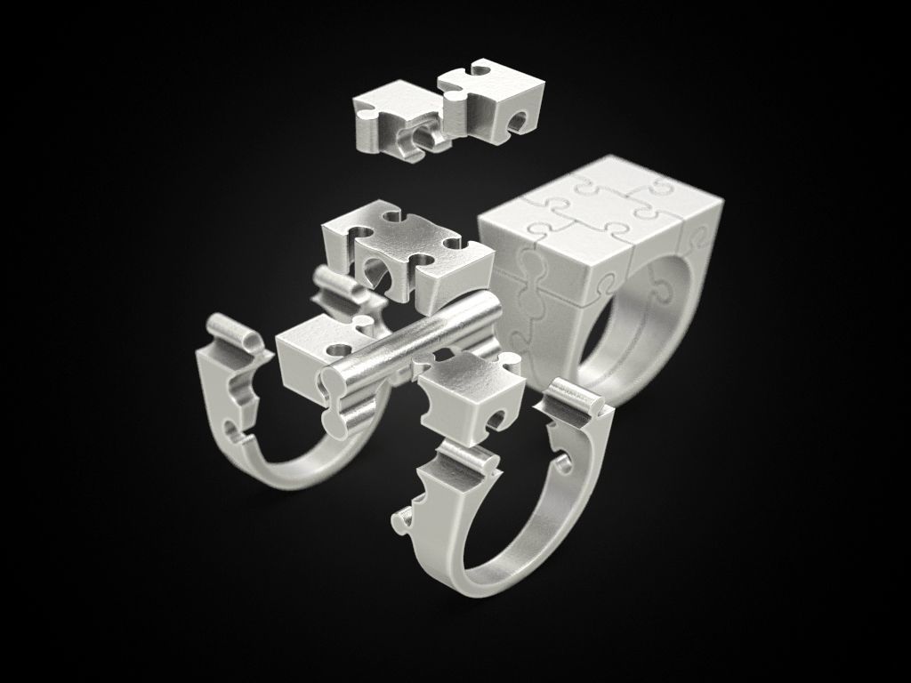 Ring puzzle 3D print model_12