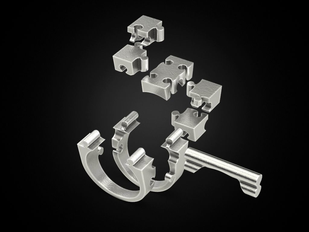 Ring puzzle 3D print model_8