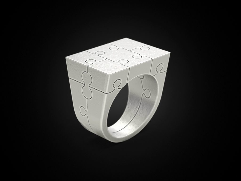 Ring puzzle 3D print model_2