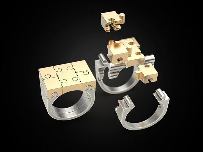 Ring puzzle 3D print model