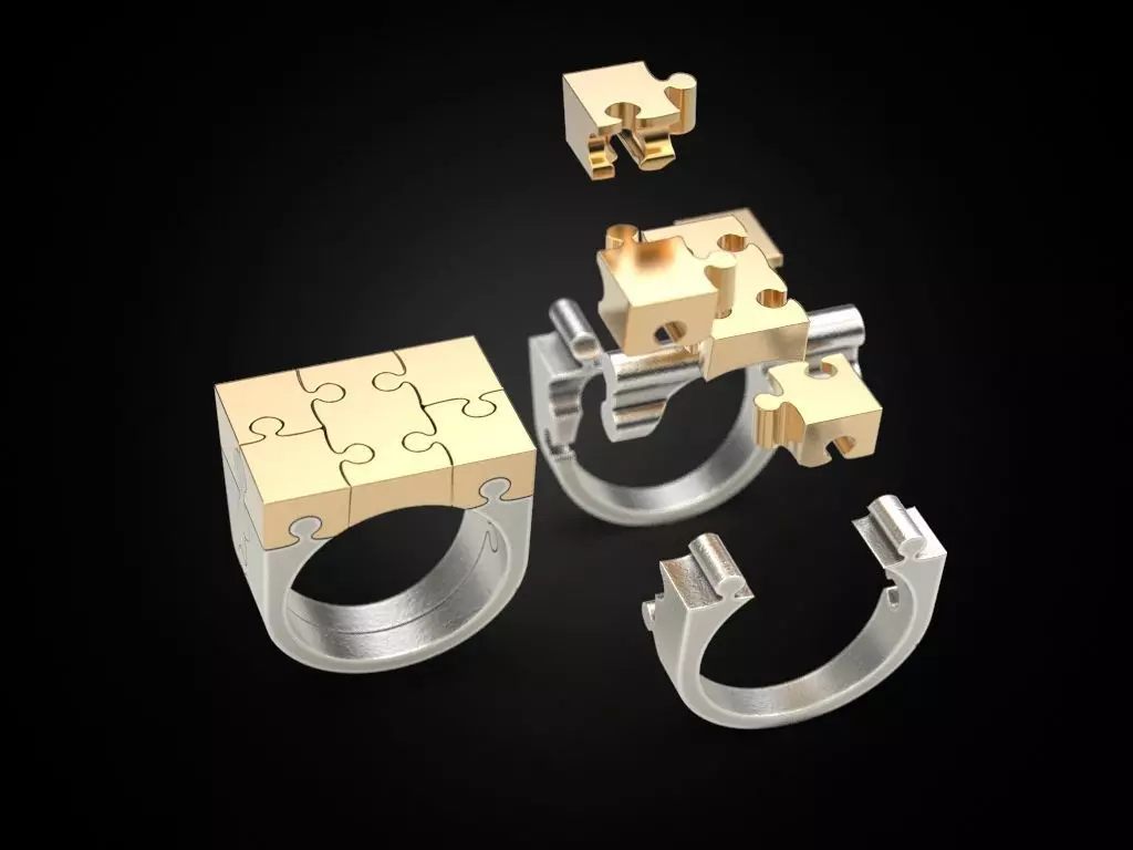 Ring puzzle 3D print model_0