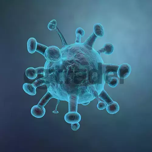 Cell - Bacteria 3D model