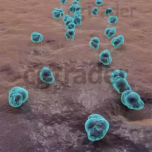 Bacteria group of cells in water 3D model