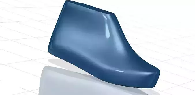 shoe last A21 3D print model