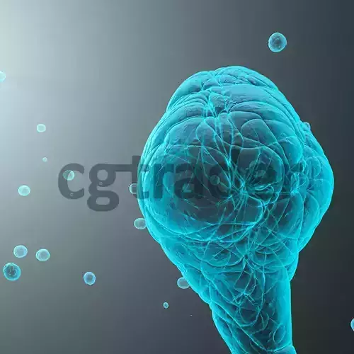 Sperma cell with bubbles 3D model