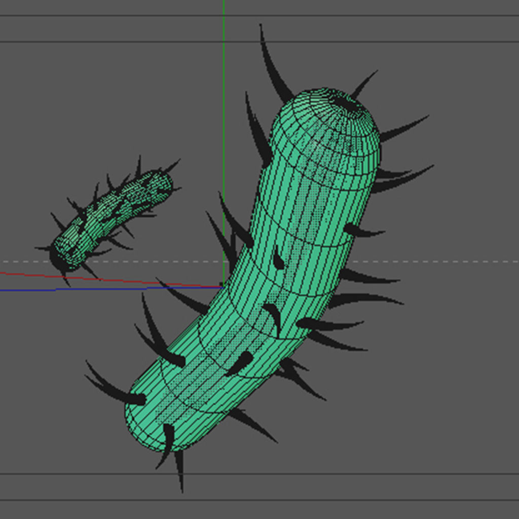 Long Bacteria  3D model_4