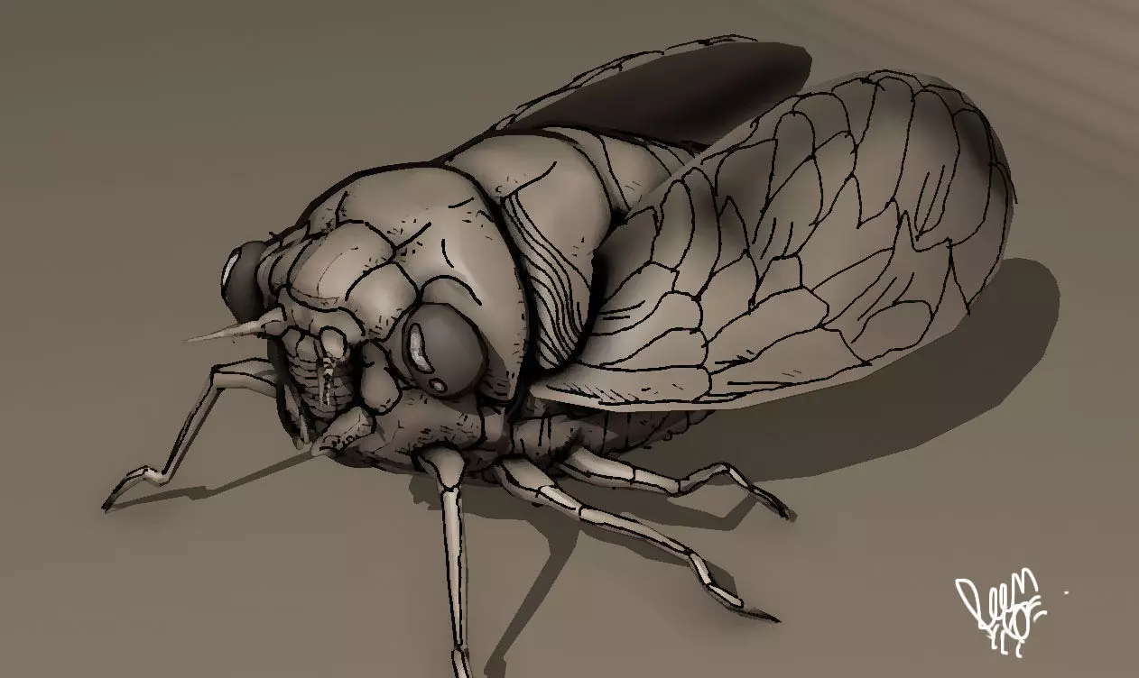 grease pencil cicada bug 3D model_0