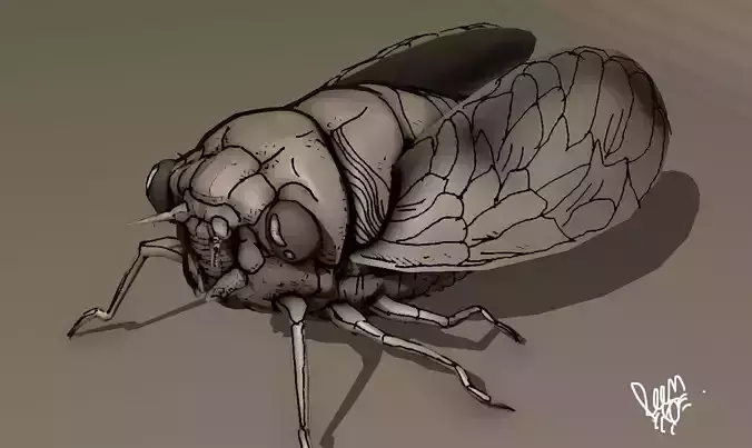 grease pencil cicada bug 3D model