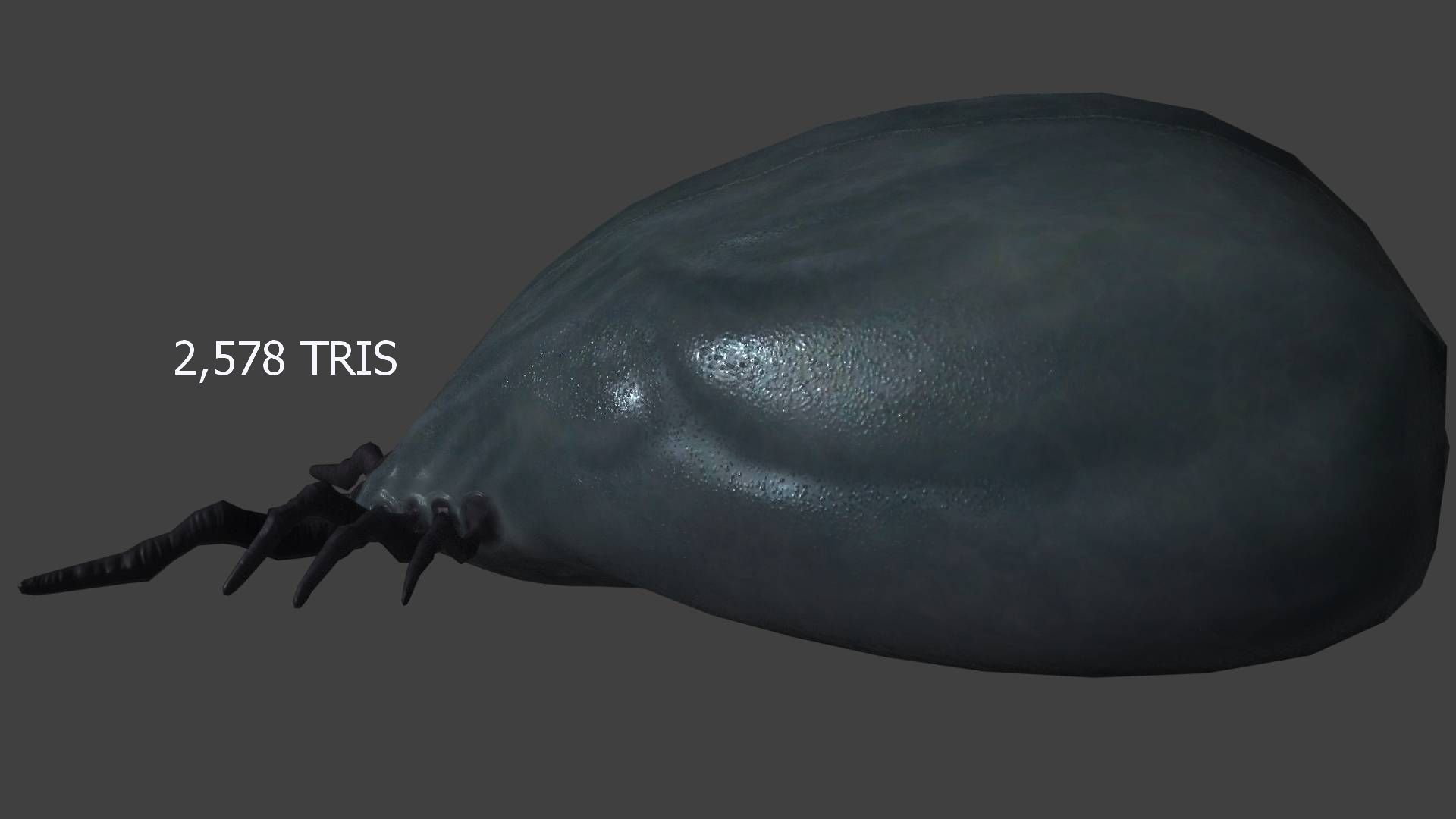 well fed tick Low-poly 3D model_2