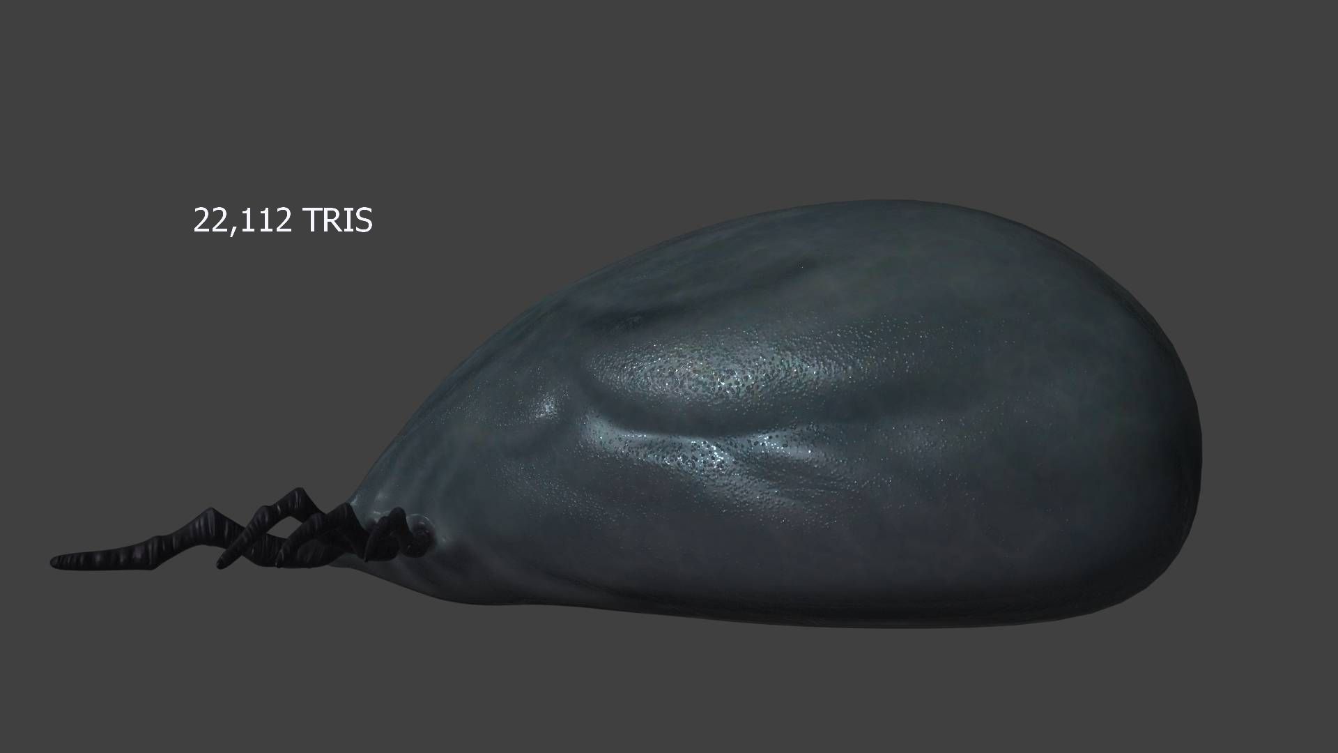 well fed tick Low-poly 3D model_1