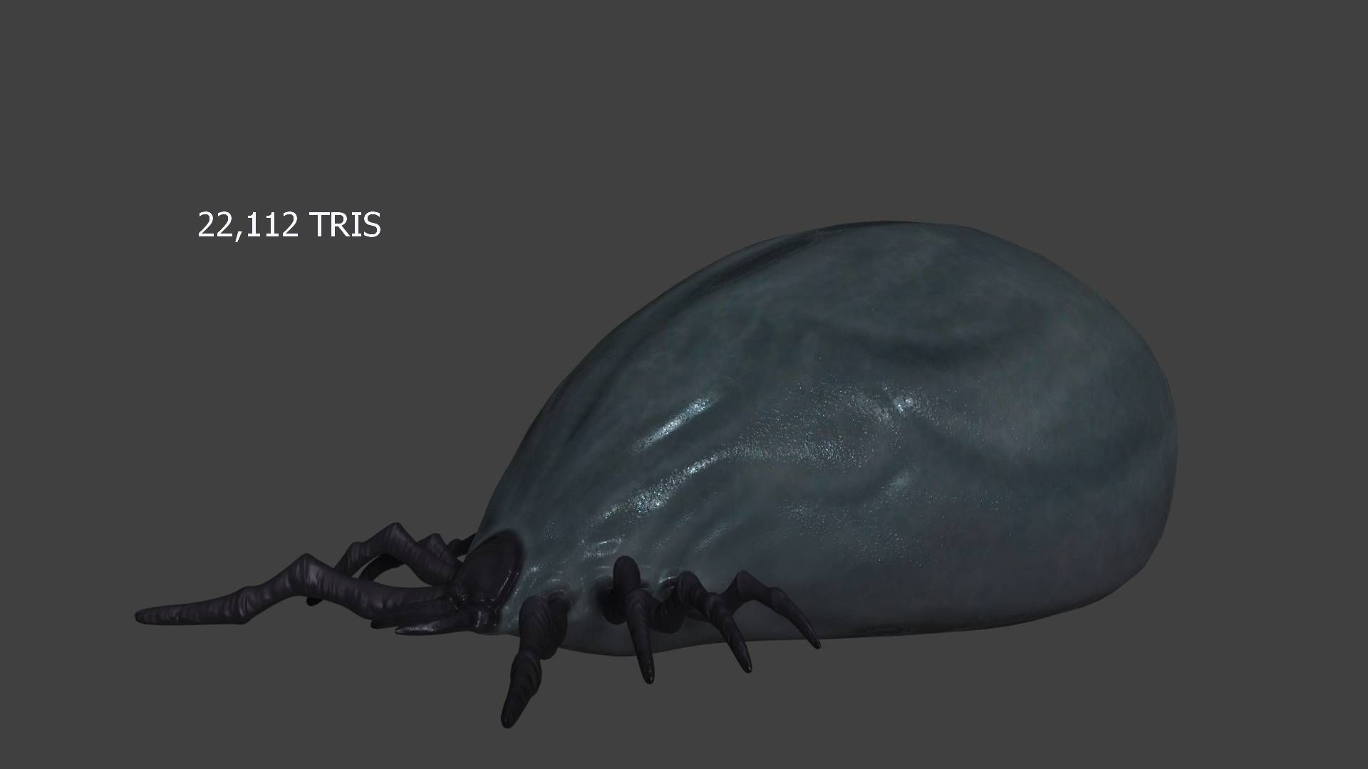 well fed tick Low-poly 3D model_11