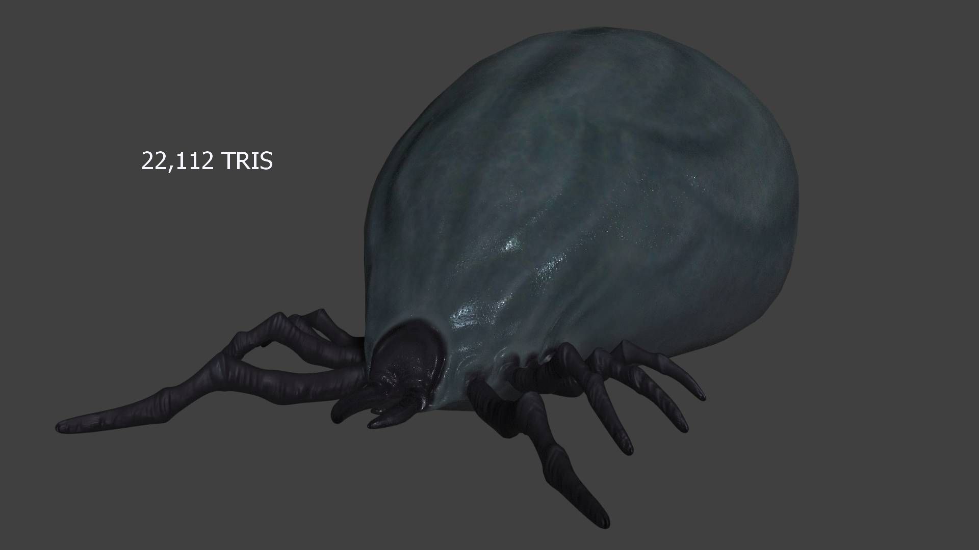 well fed tick Low-poly 3D model_15