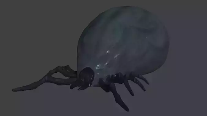 well fed tick Low-poly 3D model