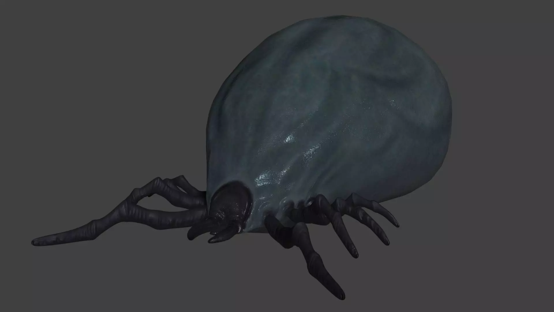 well fed tick Low-poly 3D model_0