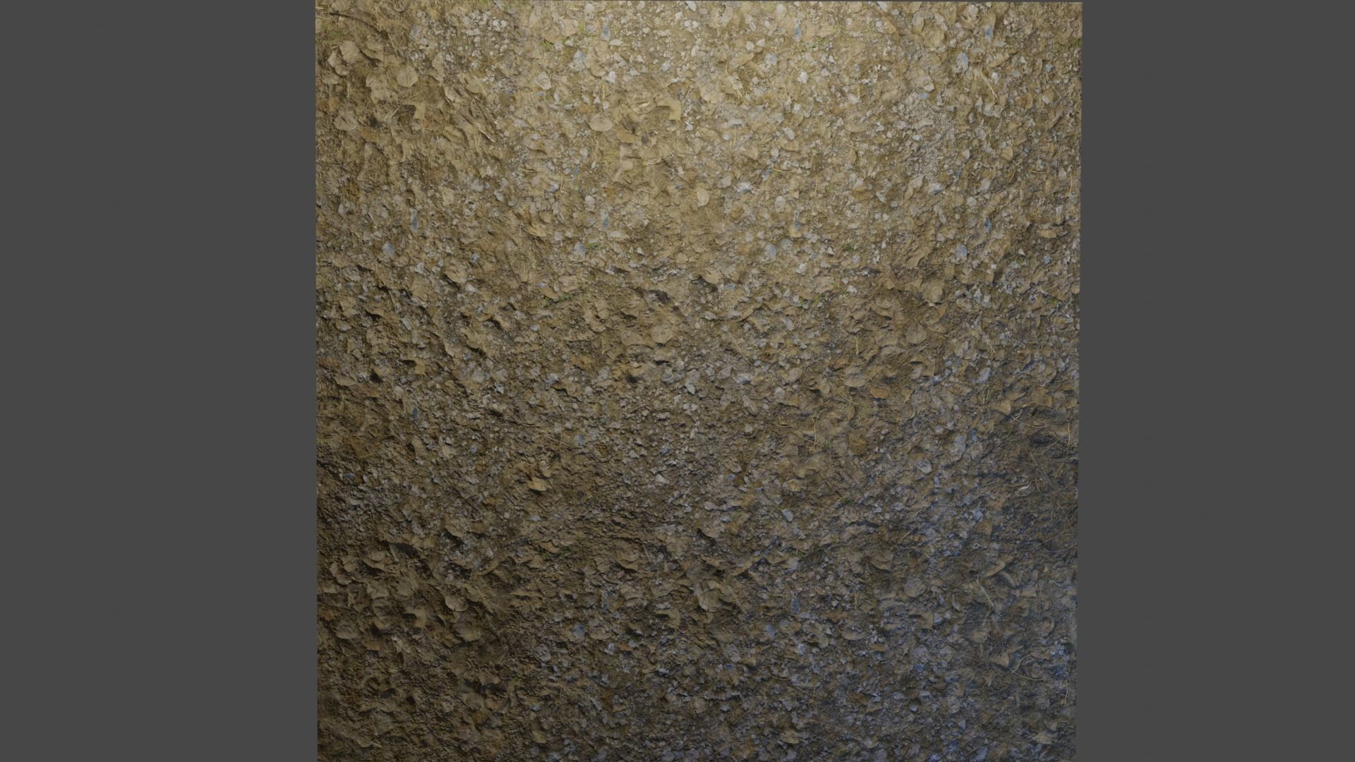 Forest Floor 4K Texture_3